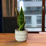 Keramični lonec Rustic 05.176.13